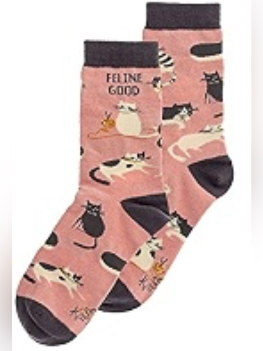 NWT Karma “Feline Good” Feline Gift Socks 😻
